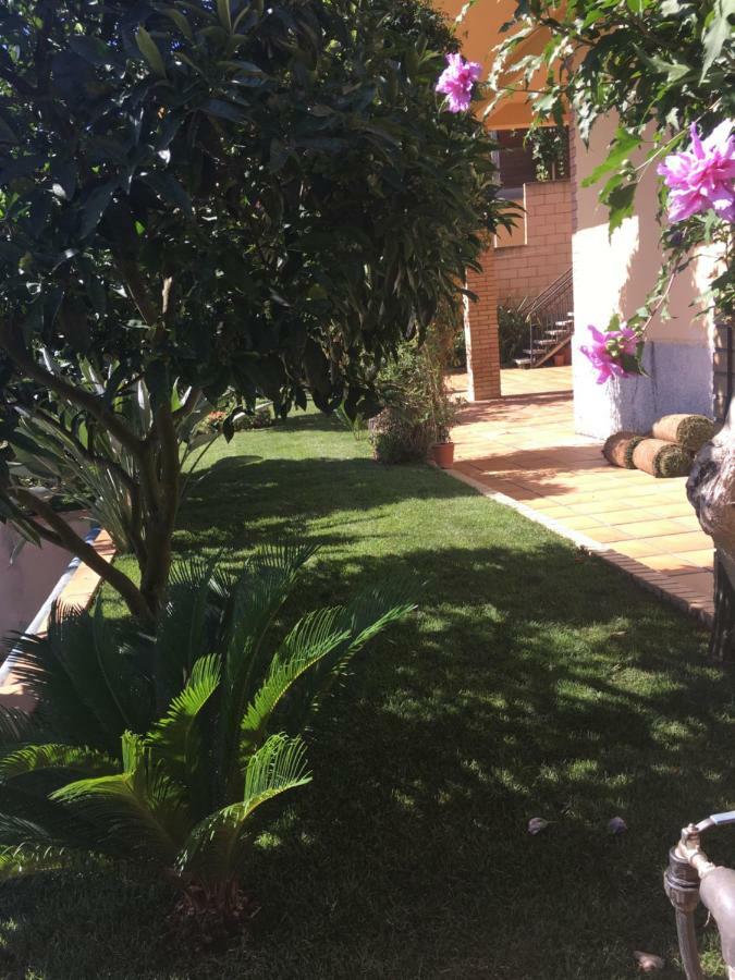 Apartamento Mar Y Montana Argentona Extérieur photo